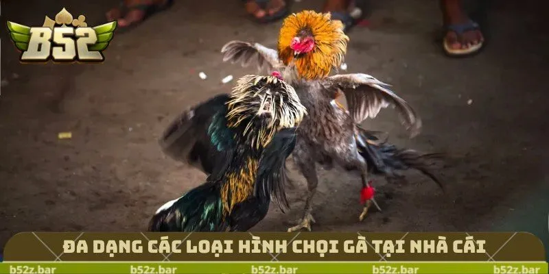 Đa dạng các loại hình chọi gà tại nhà cái
