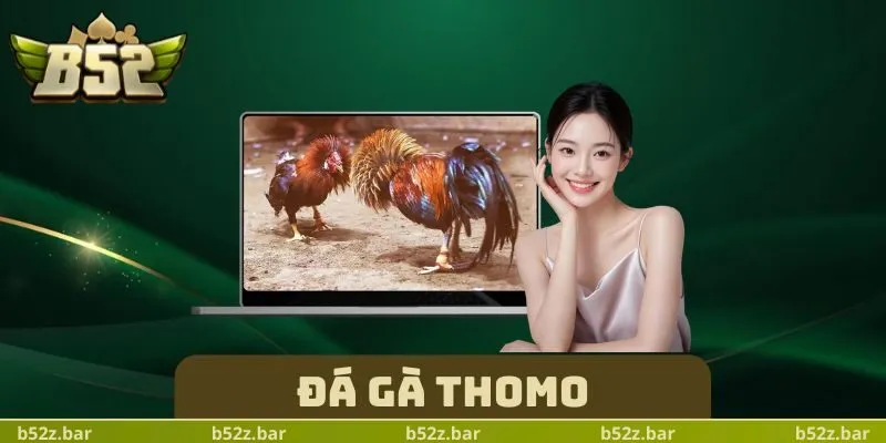 Đá Gà Thomo