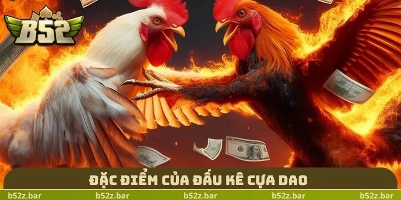 Đặc điểm của đấu kê cựa dao