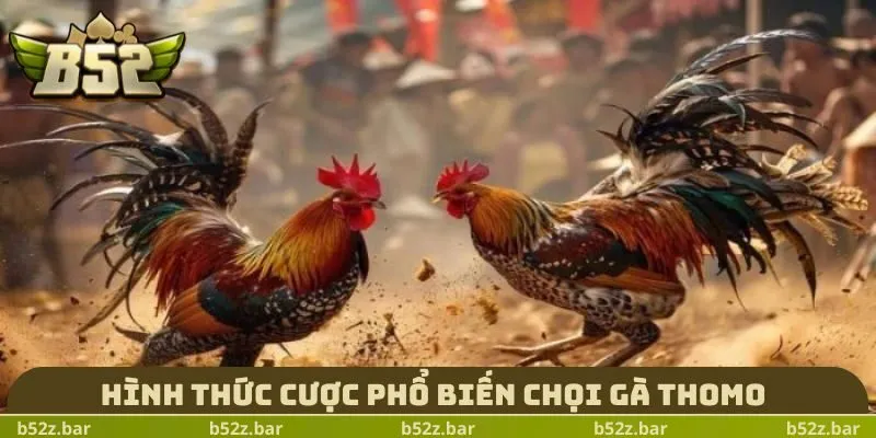 Hình thức cược phổ biến chọi gà Thomo