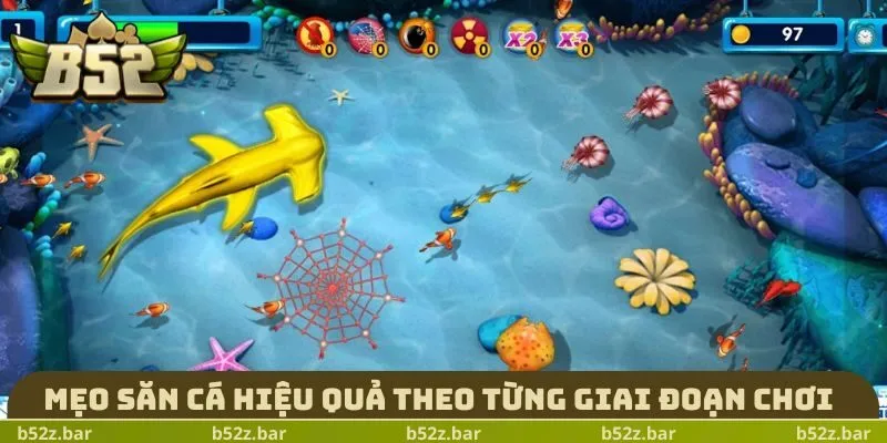 Mẹo săn cá hiệu quả theo từng giai đoạn chơi