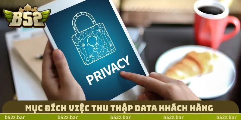 Mục đích việc thu thập data khách hàng